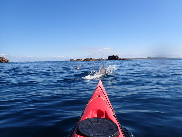Île de Sein Nautisme, Kajaktouren, Robben, Delfine, am Ende der Welt. 
