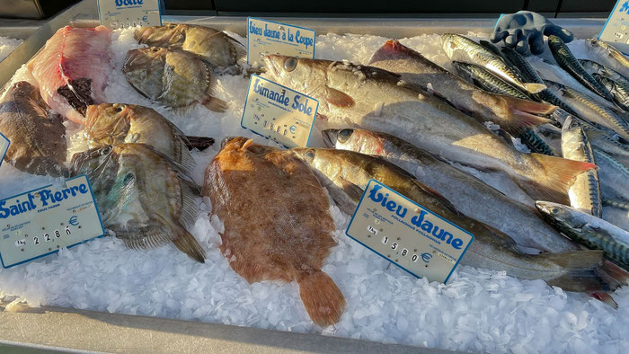 Fischstand auf dem Markt in Audierne, frischer Fisch in der Bretagne, Cap Sizun