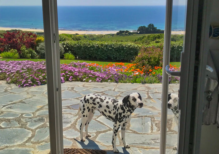 Blick aus der Küche des Ferienhauses hinunter zum Sandstrand von Mesperleuc. Ideal für den Urlaub mit Hund, nur wenige Minuten Fußweg zum Atlantik.