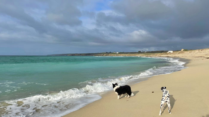 Strand von Trez Goarem, Bucht von Audierne, Cap Sizun, Ferien mit Hunden