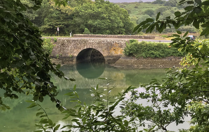 Le bois de Suguensou, der Wald von Suguensou, Brücke, Audierne, Goyen, Cap Sizun