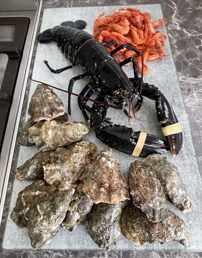 Hummer, Austern, Crevetten, kulinarische Genüsse in der Bretagne