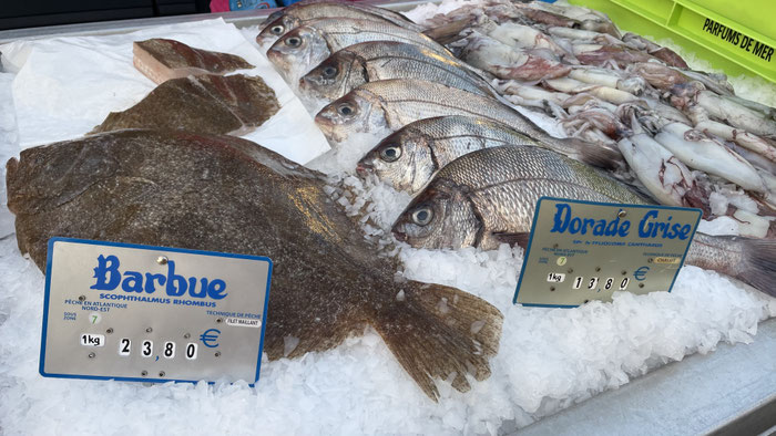 Fischstand auf dem Markt von Audierne, Cap Sizun, Bretagne