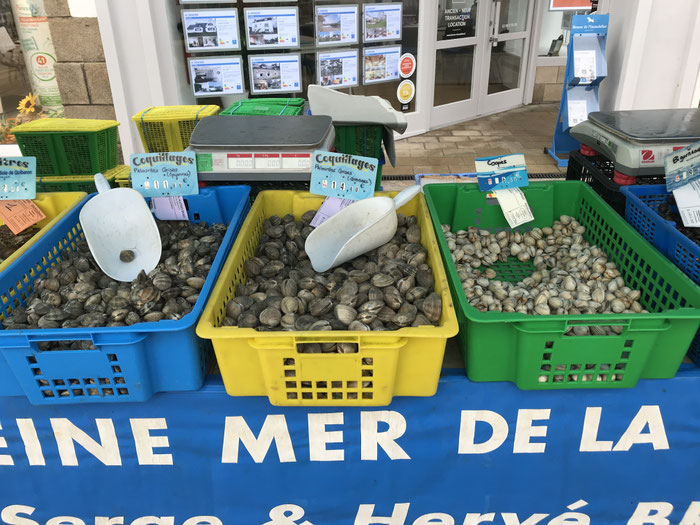 Muschelstand auf dem Markt in Audierne, Cap Sizun, Bretagne