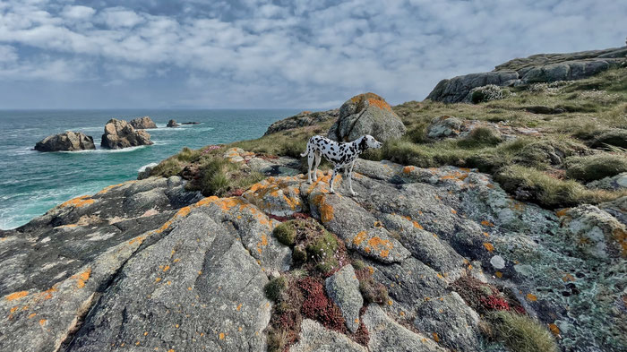Ferienhaus Ker Armor, Plouhinec, Bucht von Audierne, Finistère, Bretagne, Hund willkommen, Wandern Cap Sizun