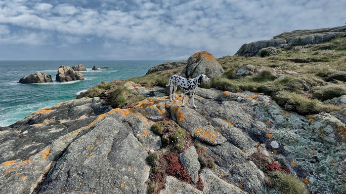 Wanderung von der Plage de Lesven zur Réserve du Cap Sizun in Goulien, GR34, Küstenwanderweg, Cap Sizun, Goulien