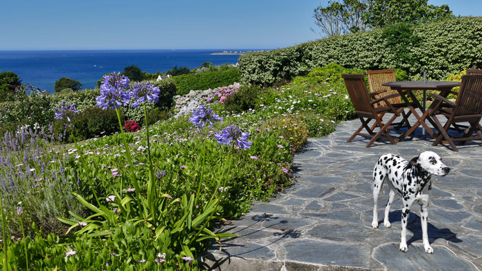 Sicherer Auslauf mit Panorama Meerblick: Der komplett eingezäunte Garten im Ferienhaus Ker Armor für Urlaub mit Hund.