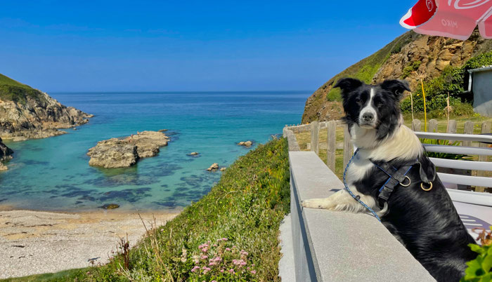 Die Buvette in Pors Théoalen, Bar-Café direkt am Atlantik, Cap Sizun, Bretagne