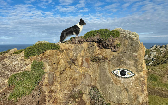 Pointe de Brézellec, Cap Sizun, GR34, Wandern mit Hund, Bretagne