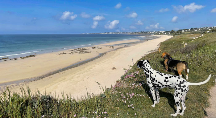 Der Strand von Mesperleuc, Plouhinec, Bucht von Audierne, Cap Sizun