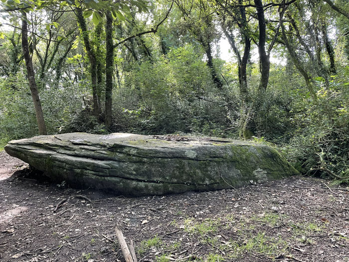 Bretagne, Hinterland, Argoat, Menhire, Dolmen, Sagen,Wälder