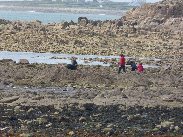 Gezeitenfischerei in Plouhinec, Bucht von Audierne, Pêche à Pied, Muscheln, Krustentiere finden