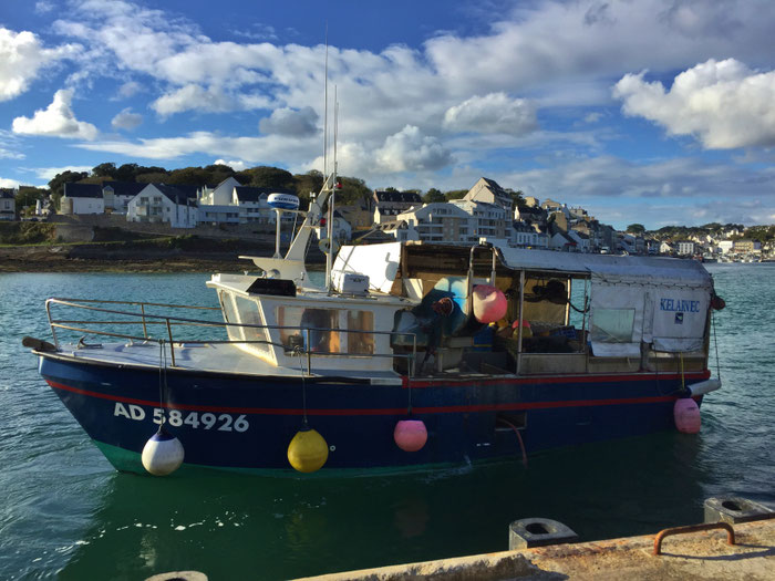 Fischerboot bringt seinen Fang in Plouhinec, Poulgoazec, Bucht von Audierne. 