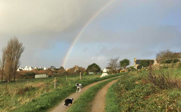 Der Feldweg führt Sie und Ihren Hund direkt zum Atlantik und zum Strand von Kersiny, vom Ferienhaus Tal Ar Mor in Pluhinec ist es nicht weit zum Meer