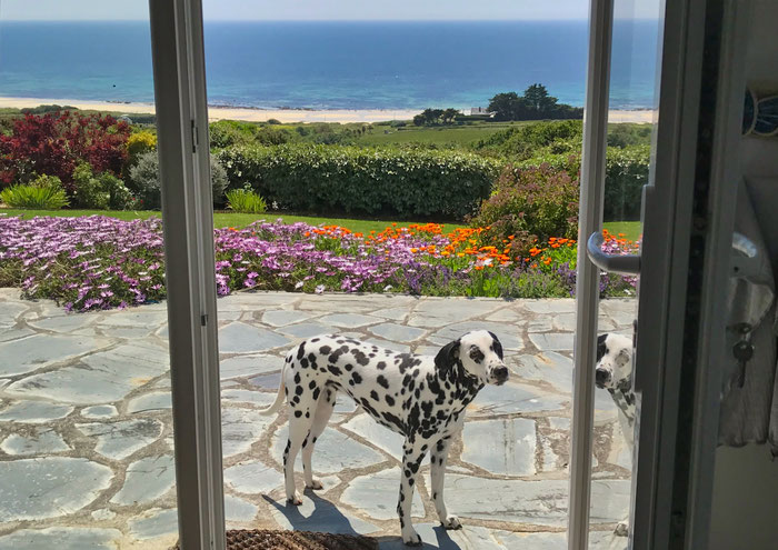 Ferienhaus Ker Armor in Plouhinec, ein Paradies mit Meerblick am Cap Sizun, auch für Hunde