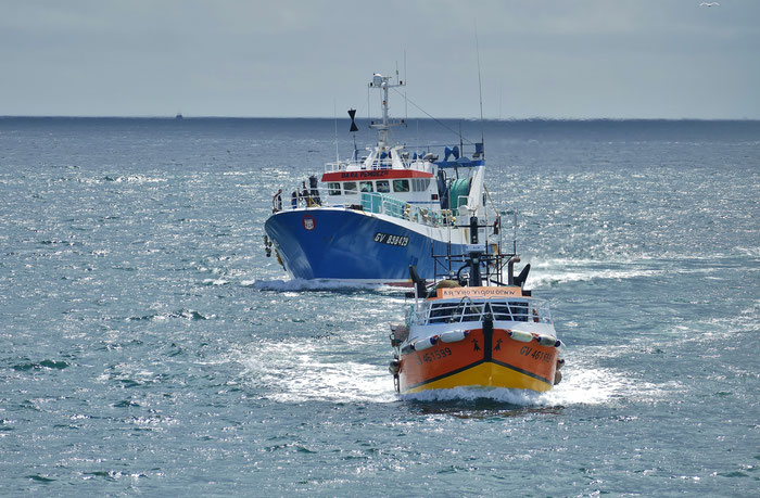 Das Einlaufen der Fischerboote in Le Guilvinec, Einlaufparade