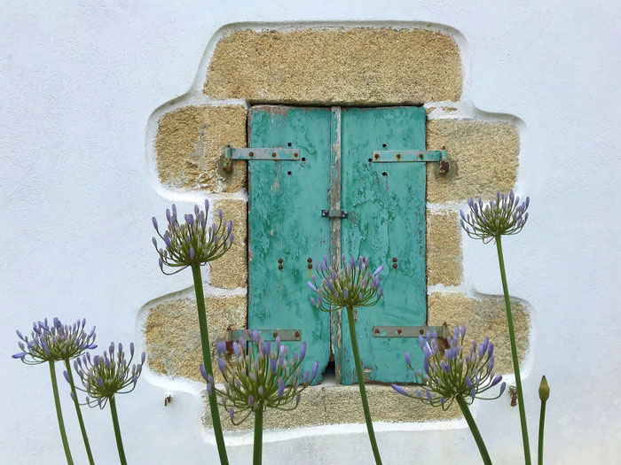 Typisch bretonisches Fenster eines Pentys. Davor Agapanthenblüten, Plouhinec, CapSizun, Bucht von Audierne