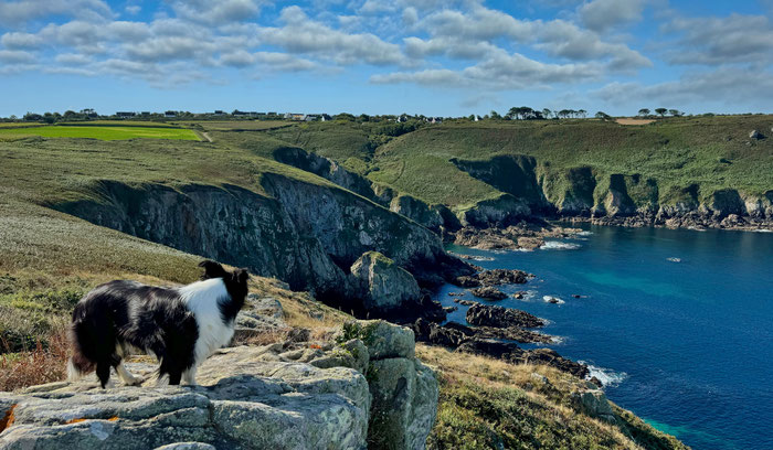 Der Küstenwanderweg GR34 a, Cap Sizun, Bretagne, Frankreich