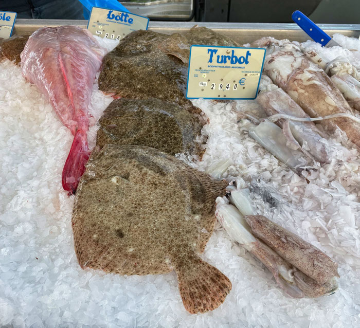 Frischer Fisch auf dem Markt in Audierne, Turbot, Steinbutt und Lotte, Seeteufel
