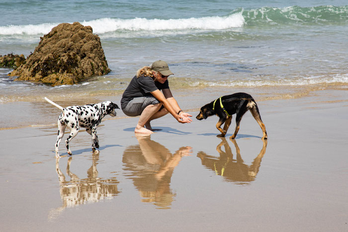 Ursula Schmitt mit Amy und Hundefreundin Mila, Ferienhaus Ker Armor, Ferienhaus Tal Ar Mor, wir sind persönlich für Sie da in der Bretagne