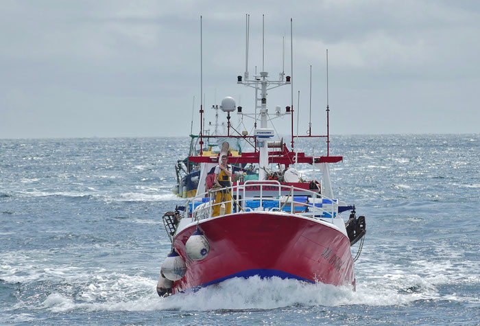 Das Einlaufen der Fischerboote in den Hafen von Guilvinec, Pays Bigouden, Bretagne