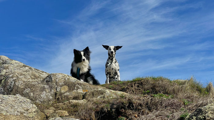 Cap Sizun, Bucht von Audierne, Urlaub mit Hunden in der Bretagne