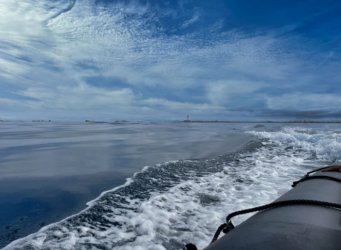 Bootstouren mit L'Echappée Nautique vor der Küste des Cap Sizun, Bucht von Audierne