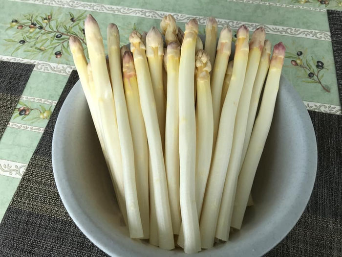 Spargel aus Plomeur, Pays Bigouden, Bretagne, FinistÈre