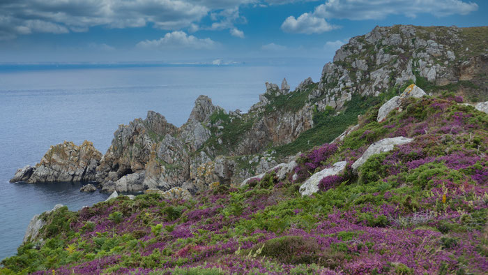 Goulien, La Réserve du Cap Sizun, Vogelschutzgebiet, Cap Sizun, Finistère