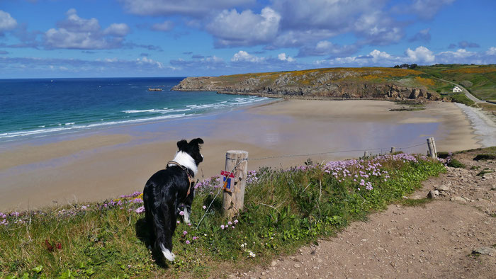 Baie des Trépassés, Cap Sizun, Surferparadies, Wandern mit Hunden in der Bretagne, hundefreundliches Ferienhaus