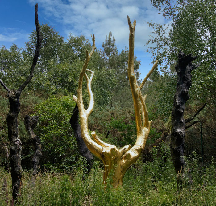  Brocéliande, Zauberwald, Bretagne, der goldene Baum im Tal ohne Wiederkehr