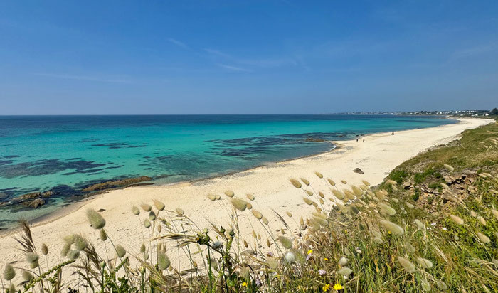 Der familienfreundliche Strand von Mesperleuc, ausgezeichnet für seine gute Wasserqualität, nur wenige Minuten von usnerem Ferienhaus Tal Ar Mor entfernt.