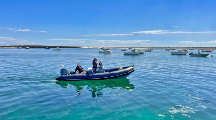 Bootstouren mit L'Echappée Nautique vor der Küste des Cap Sizun, Bucht von Audierne