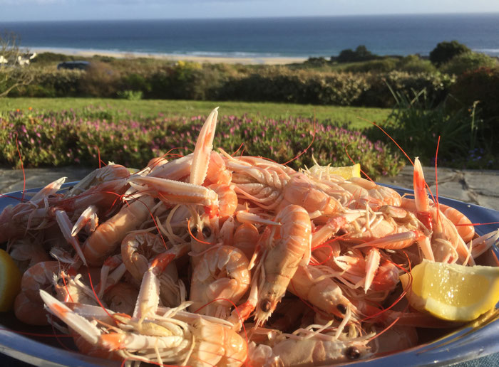 Ferienhaus Ker Armor, Plouhinec, Langoustinen mit Meerblick auf der Terrasse genießen