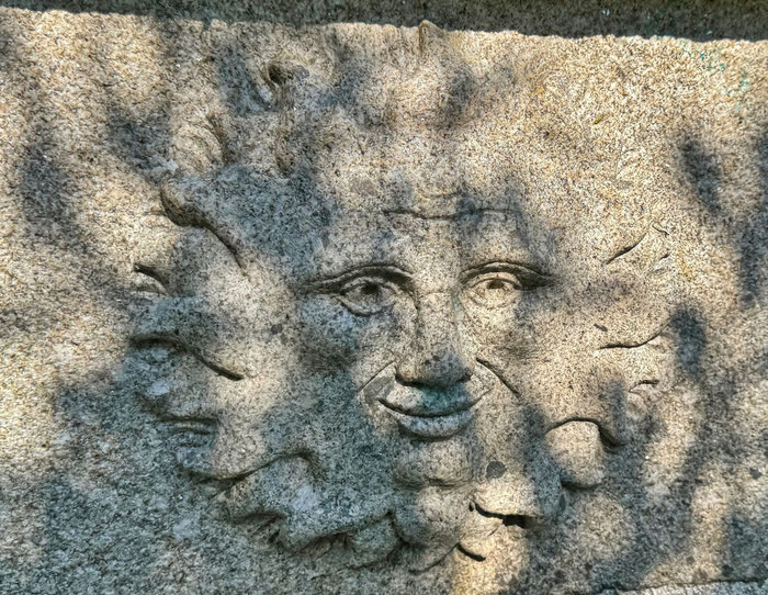 Le bois de Suguensou, der Wald von Suguensou, Audierne, Goyen, Cap Sizun