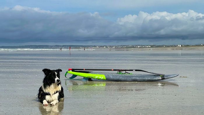 Cap Sizun, Bucht von Audierne, Hunde am Strand, Urlaub mit Hunden in der Bretagne