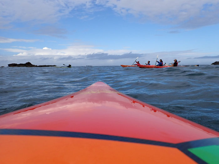 Île de Sein Nautisme, Kajaktouren, Robben, Delfine, am Ende der Welt. 
