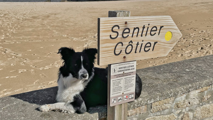 Küstenwanderweg, Sentier Côtier, GR34, Cap Sizun, Bretagne, Urlaub mit Hund