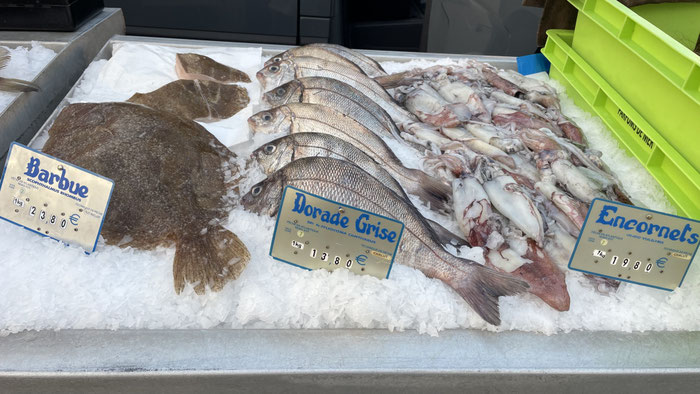 Barbue, Dorade und Encornets auf dem Markt von Audierne, Cap Sizun, Bretagne