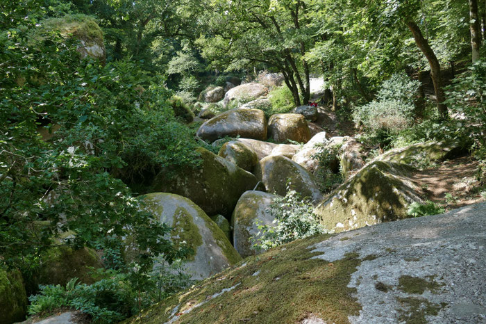 Im Zauberwald von Huelgoat, Bretagne, Frankreich, Granitbrocken