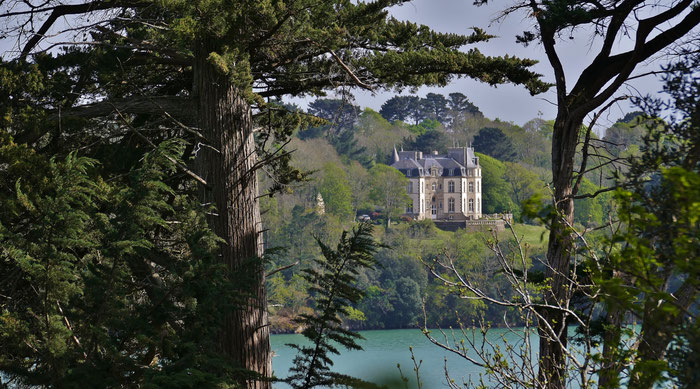 Le bois de Suguensou, der Wald von Suguensou, Audierne, Goyen, Cap Sizun