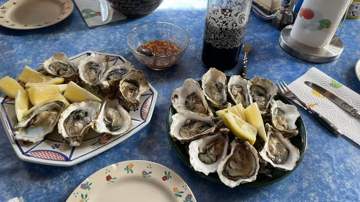 Austern in der Bretagne, ein Genuß im Ferienhaus Ker Armor und Tal Ar Mor in Plouhinec, Finistère