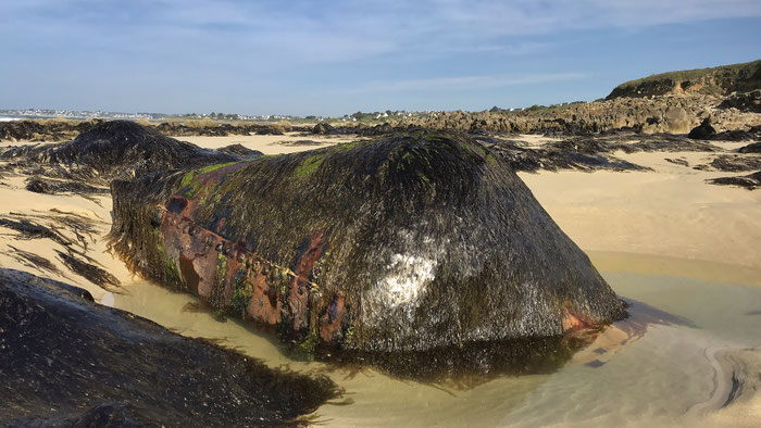 Gezeiten in der Bretagne, Ebbe, Strandspaziergänge, Strandfunde
