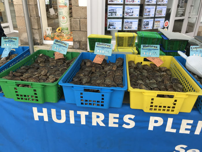 Austernstand auf dem Markt von Audierne, Cap Sizun