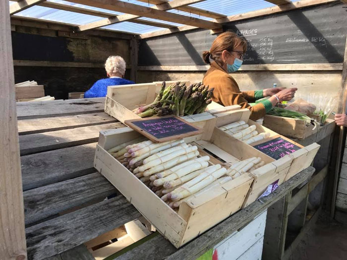Spargel aus Plomeur, Pays Bigouden, Bretagne, Finistère
