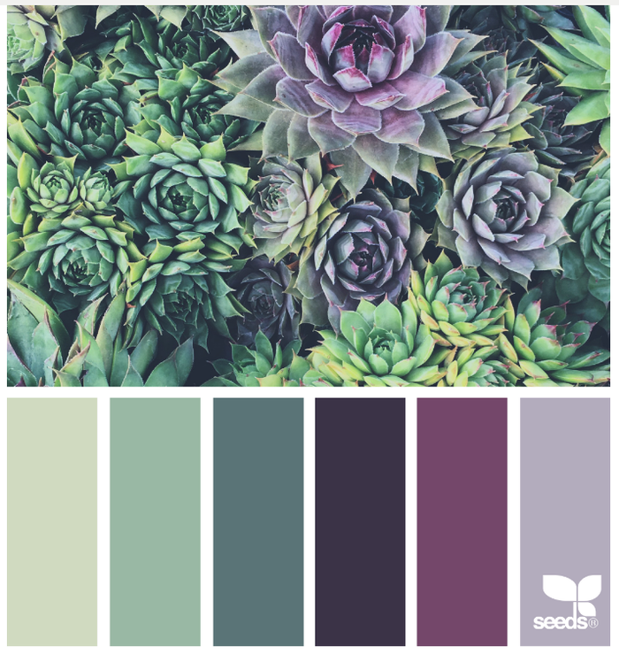 kleuren huisstijl website
