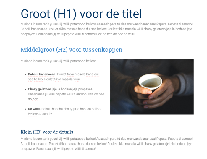 webdesign koppen