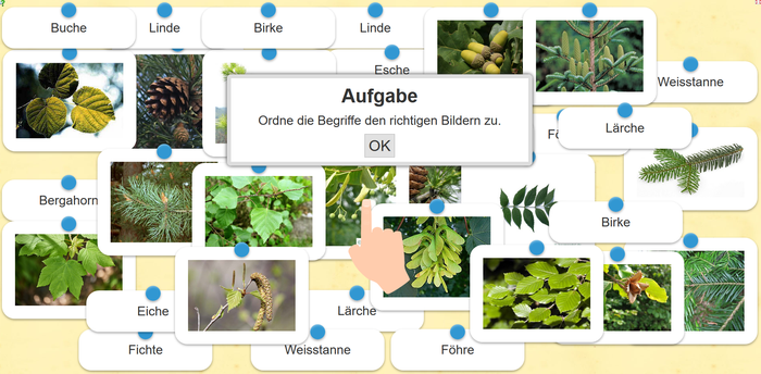 www.learningapps.org