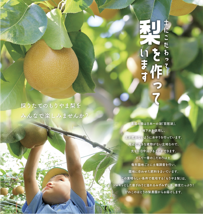 土にこだわって梨を作っています。農園の隣は日本一の湖『琵琶湖』地下水を使用し土が乾かないように水やりを行っています。周辺には大きな建物がない立地なので光を1日中浴びることができます。そして1番のこだわりは土。毎年園地ごとに土壌調査を行い、園地に合わせた肥料をまいています。この素晴らしい条件で栽培する『もりやま梨』はシャキッとした歯ざわりとみずみずしさ。糖度たっぷり！びわこのほとりの梨農園からお届けします。