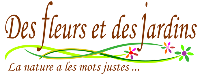 FLEURISTE à Saint-Etienne. Des Fleurs et des Jardins.